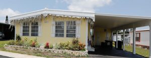 home with palm tree cutout window dressings